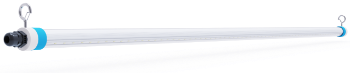 Application of Led Light for Chickens Lighting Application of Led Light for Chickens Lighting