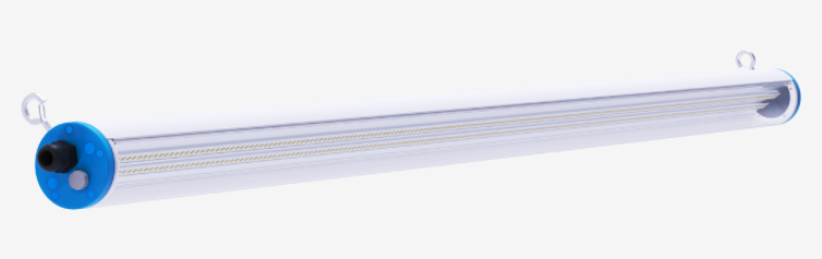 Cow Lighting Management: Cow Shed Lighting