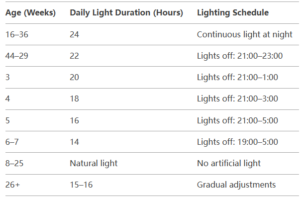 Duck Coop Lighting Control: Best Led Light for Duck House