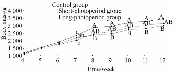Geese Shed Lighting: Effects of Different Photoperiod on the Growth Performance
