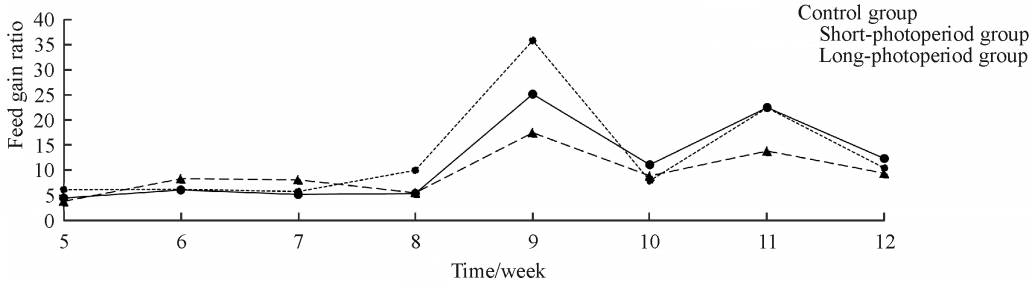 Geese Shed Lighting: Effects of Different Photoperiod on the Growth Performance