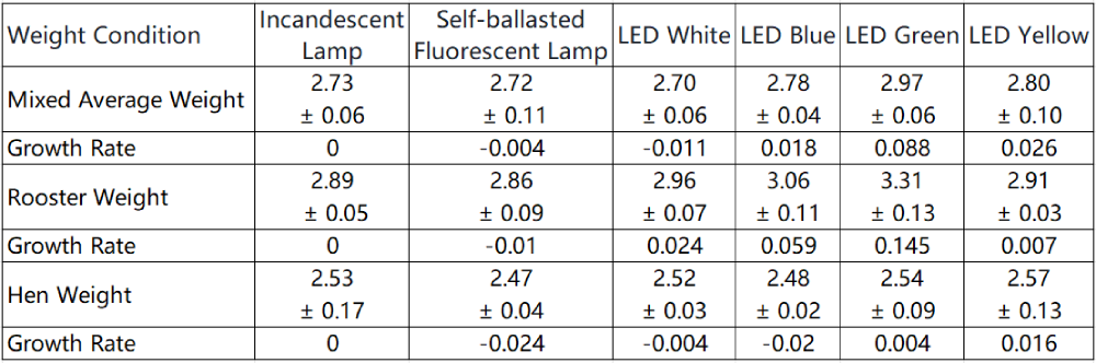 Effects of LED Poultry Lights On The Growth of Fast-growing Broiler Chicken
