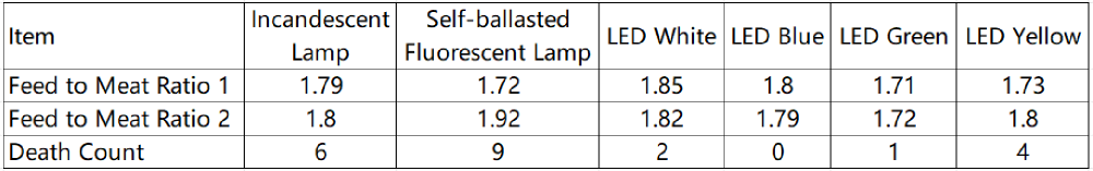 Effects of LED Poultry Lights On The Growth of Fast-growing Broiler Chicken
