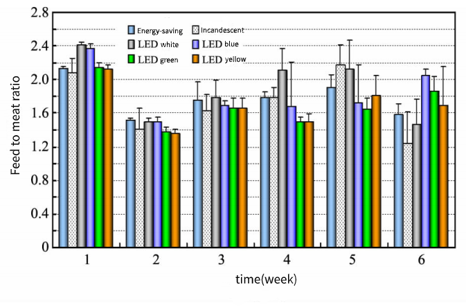 Effects of LED Poultry Lights On The Growth of Fast-growing Broiler Chicken