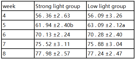 Effect of Chicken House Lights Intensity on Growth Performance