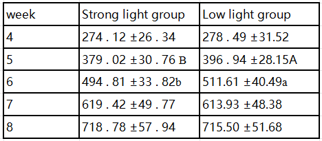 Effect of Chicken House Lights Intensity on Growth Performance