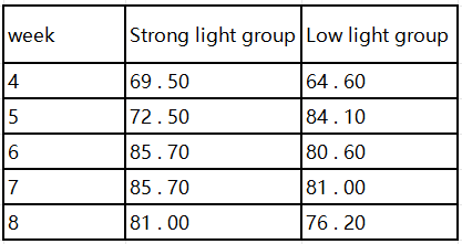 Effect of Chicken House Lights Intensity on Growth Performance