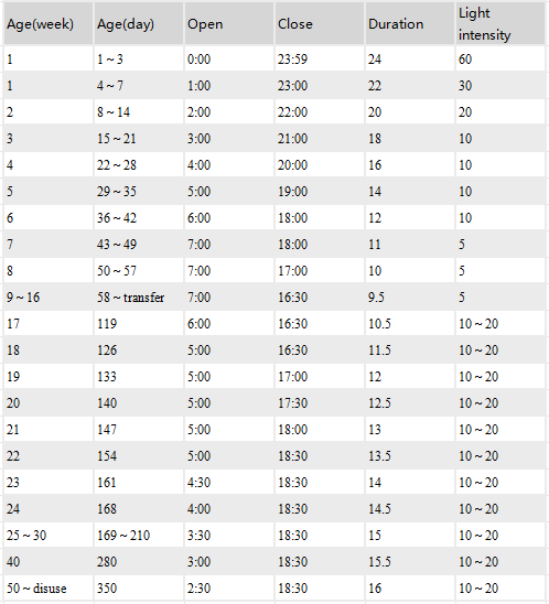 Chicken Egg Laying Light Requirements