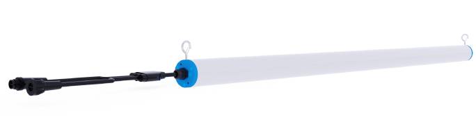 LED Pig Farm Lighting Solutions