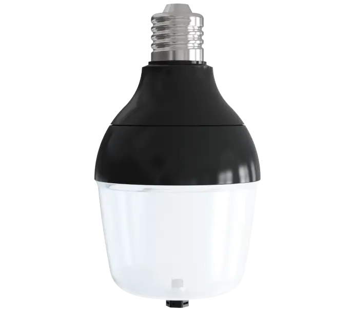 D80 LED Light Bulbs​