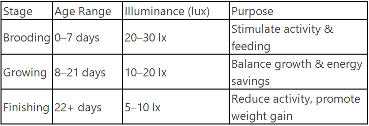 Illuminance Guidelines