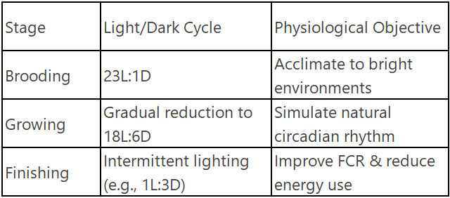 Photoperiod Strategy