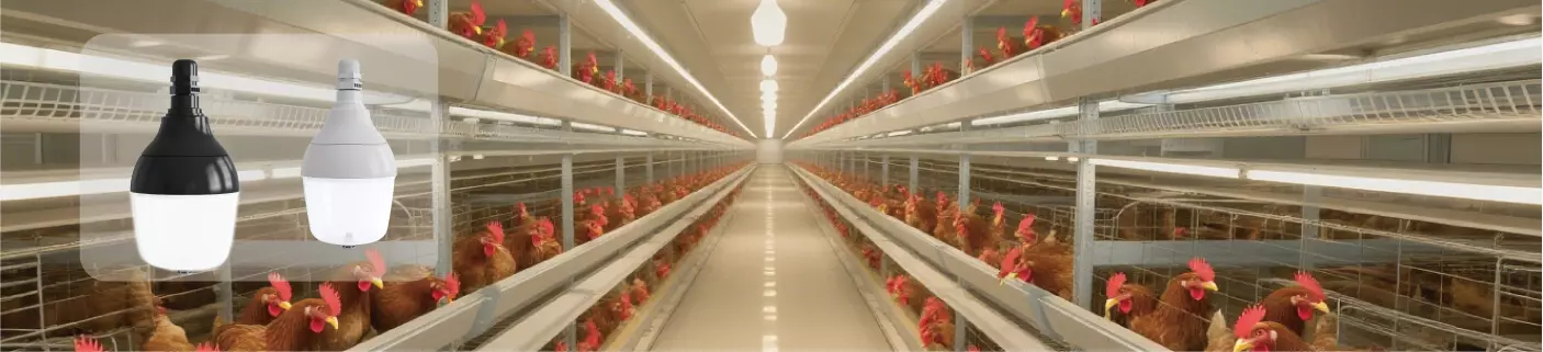 Освещение для птицеферм