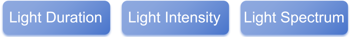 three-pillar-of-chicken-coop-lighting three-pillar-of-chicken-coop-lighting