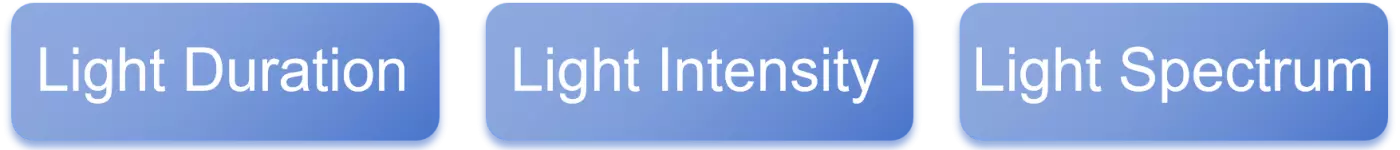 Drei-Säulen-Beleuchtung für Hühnerställe Drei-Säulen-Beleuchtung für Hühnerställe