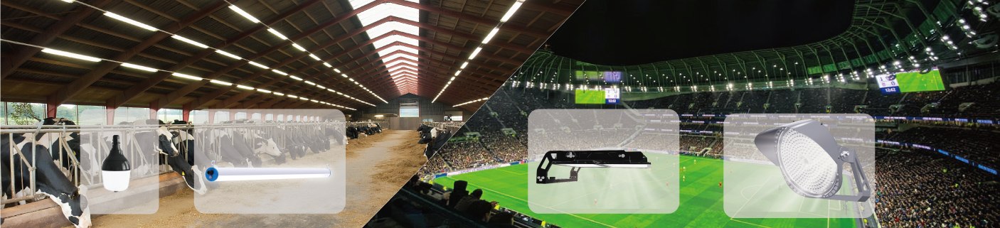 Professionelle LED-Beleuchtungslösungen