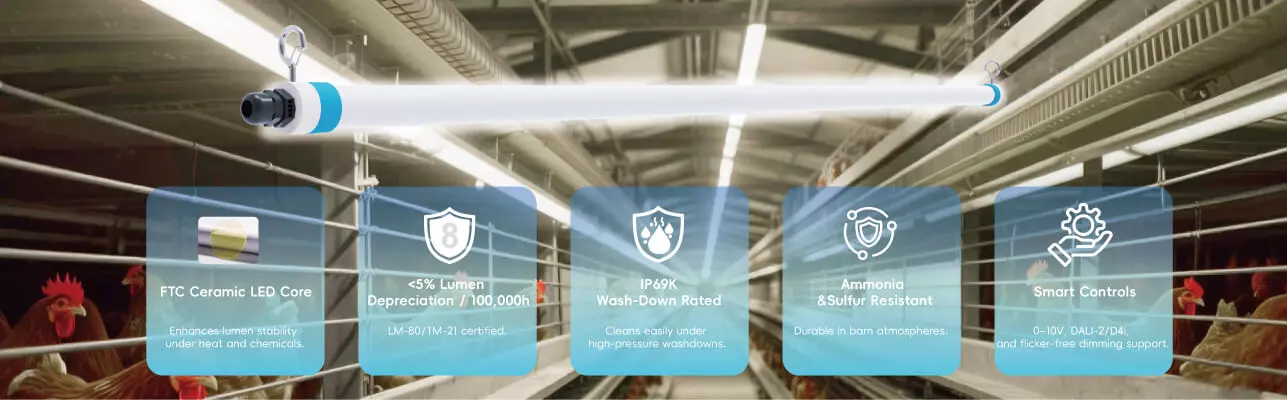 LED-Beleuchtung für landwirtschaftliche Betriebe