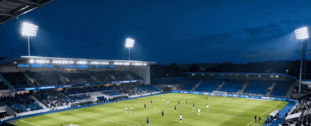 Professional-grade LED Sports Lights