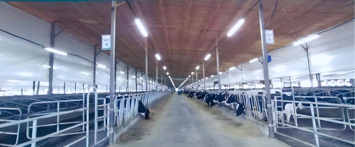 Iluminación para ganado y aves de corral