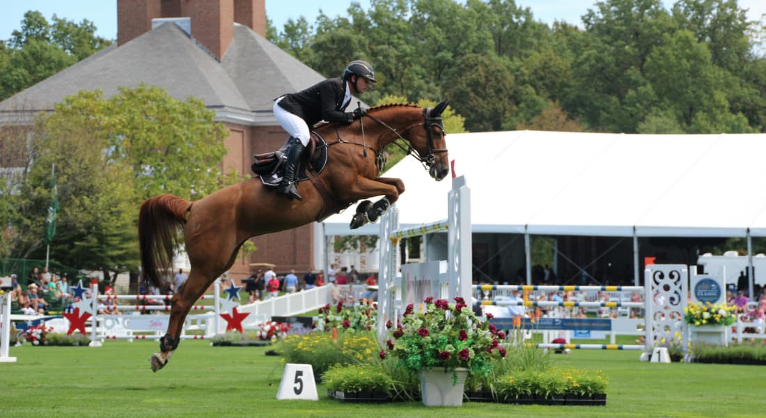 equine-arena-lighting-outdoor equine-arena-lighting-outdoor