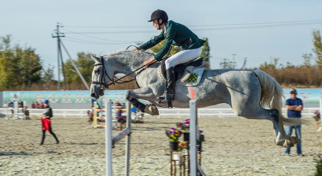 horse-arena-competition horse-arena-competition