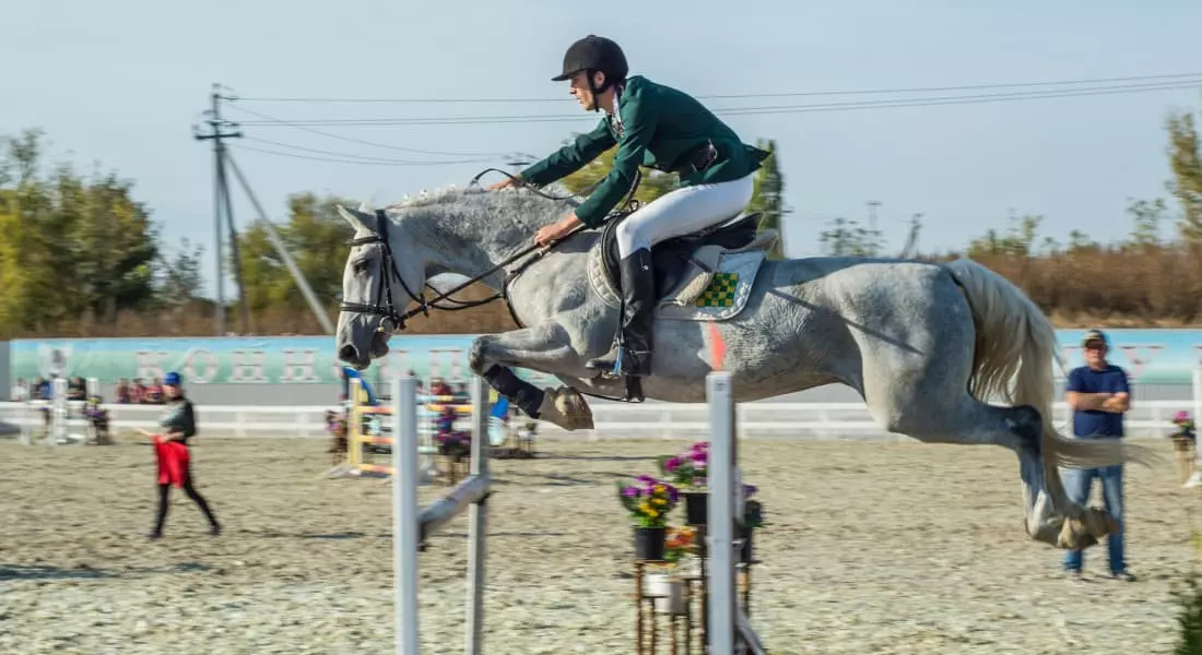 马术竞技场比赛