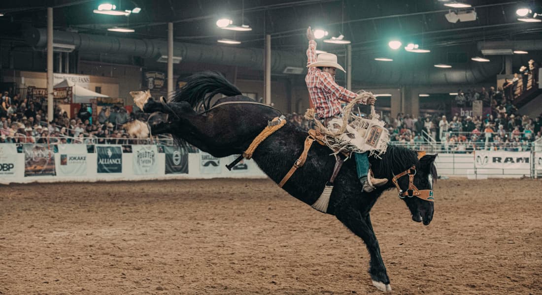 indoor-horse-arena-with-lights indoor-horse-arena-with-lights