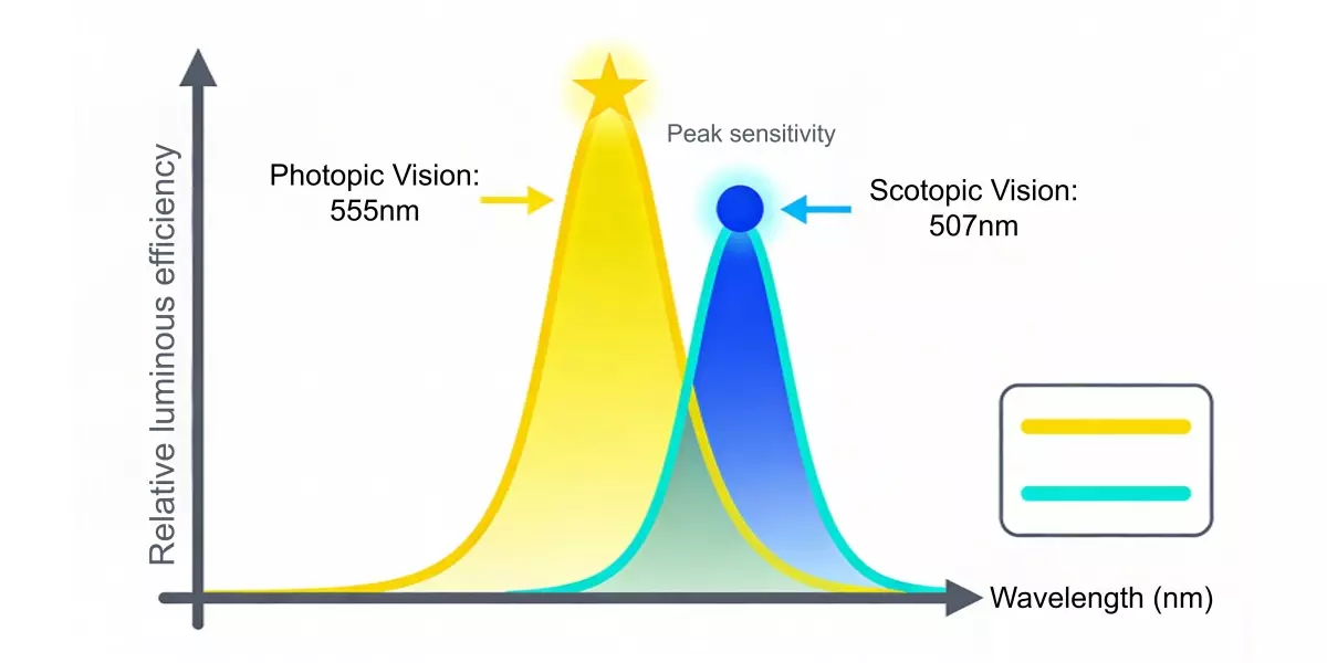 明视觉与暗视觉敏感度曲线