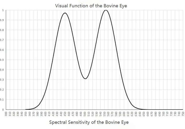 Spectral Sensitivity of the Bovine Eye