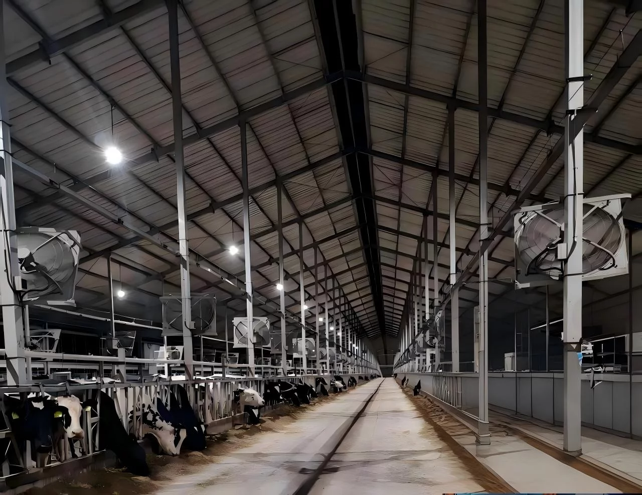 Lighting Requirements for Photoperiod Management in Cattle Barns