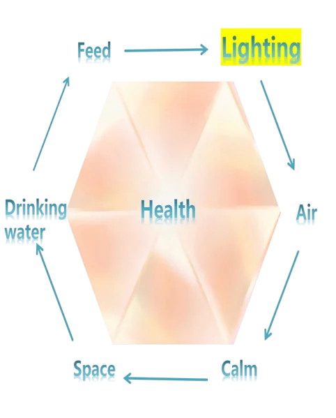 basic-requirements-of-dairy-cows(1)