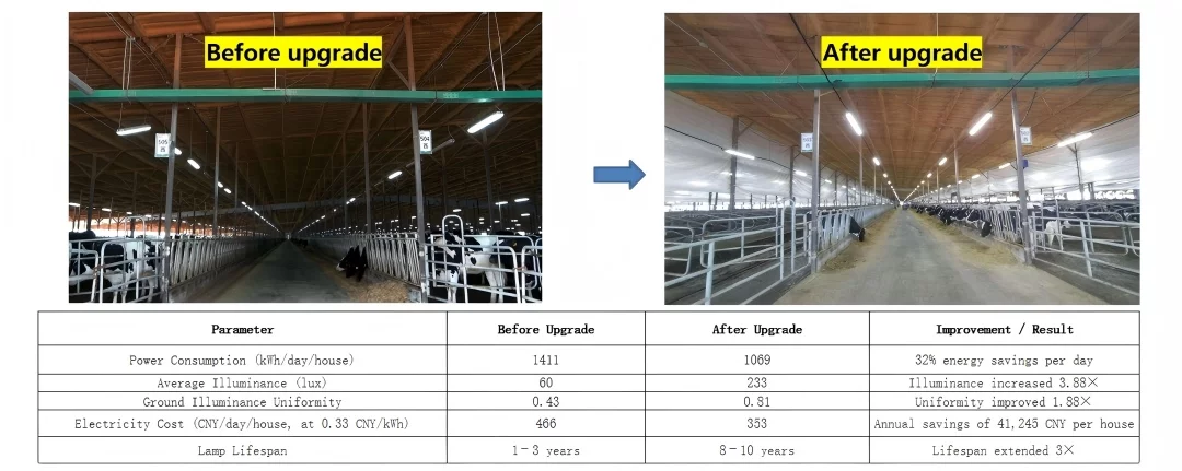 lighting upgrade for a dairy farm