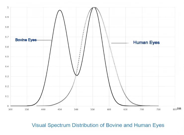 Spectrum-Bovine-vs-Human-Eyes
