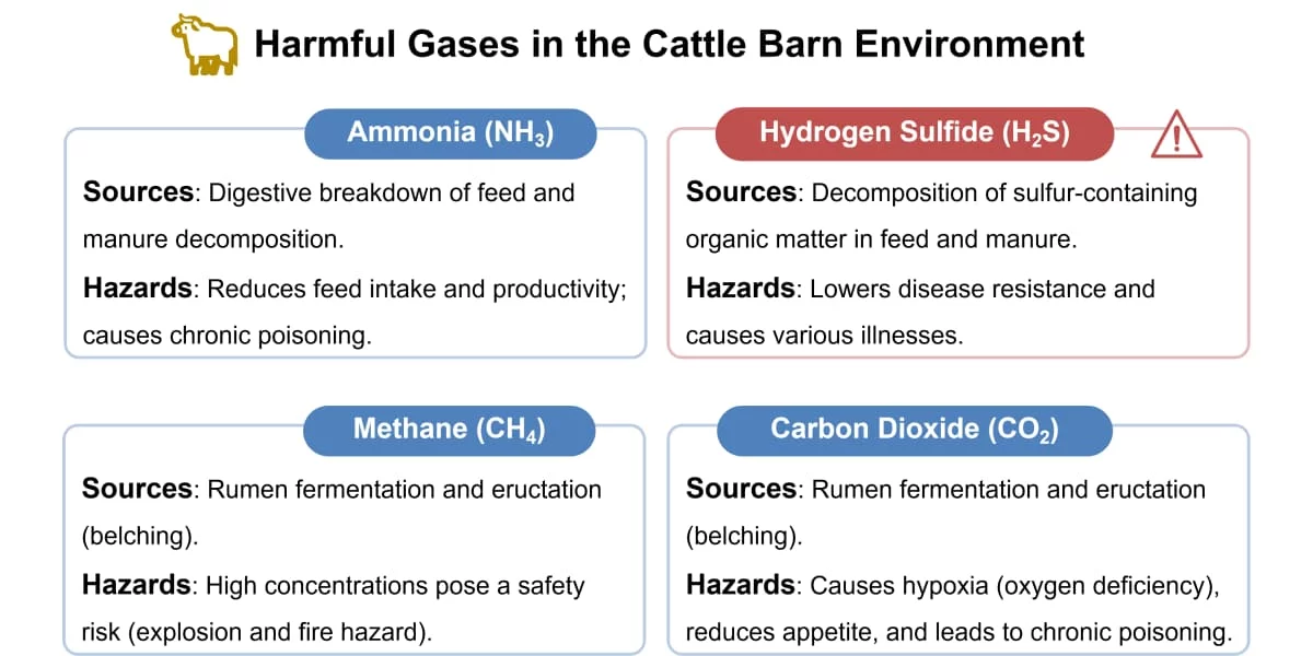 вредные газы в коровнике