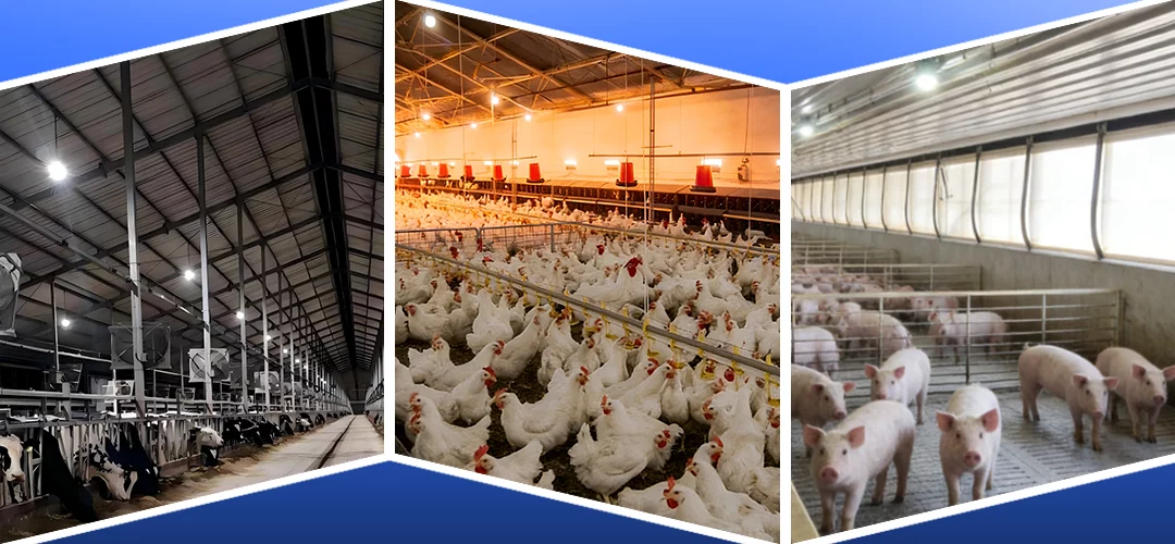 Learn More About Ceramiclite LED Lighting