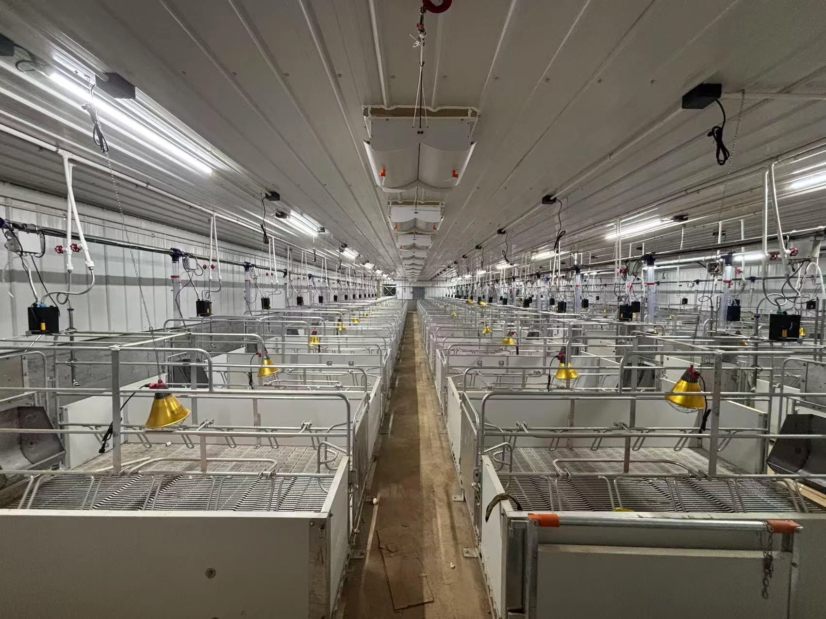 Smart Lighting Systems for Giantstar Farming and Husbandry