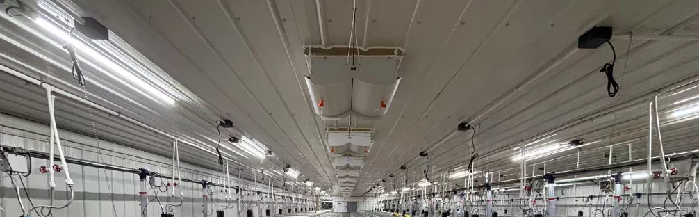 smart-livestock-lighting